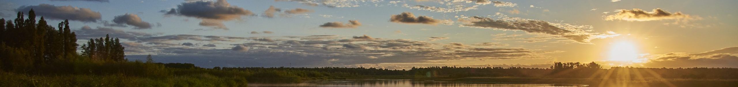 cropped-OVO-Poelruiter-Sigma-20-40mm-2ARN_7346-scaled-e1728881174608-2.jpg